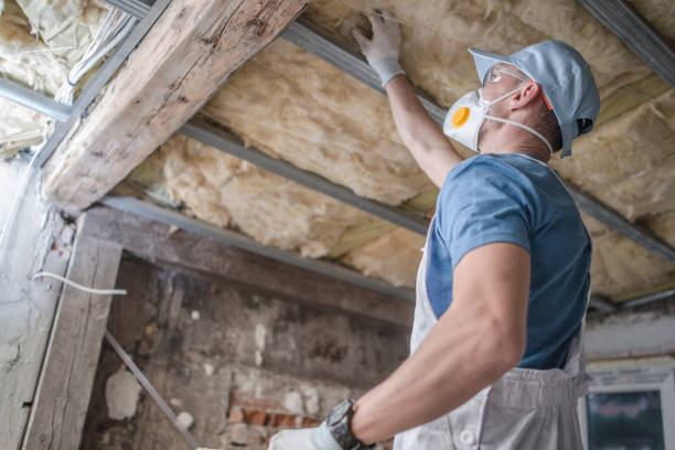 Best Insulation Repair Services  in Shinnecock Hills, NY
